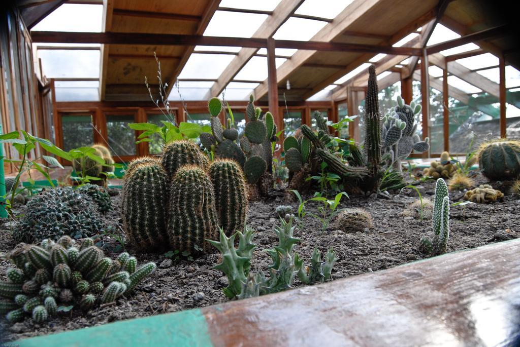 Hosteria Mandala Пуэрто-Лопес Экстерьер фото